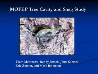 MOFEP Tree Cavity and Snag Study