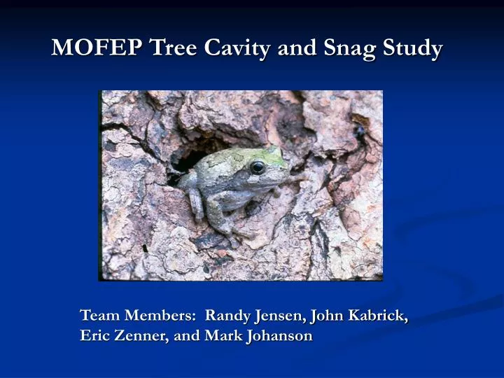 mofep tree cavity and snag study