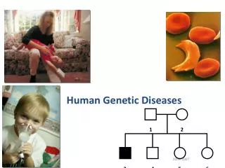 Human Genetic Diseases