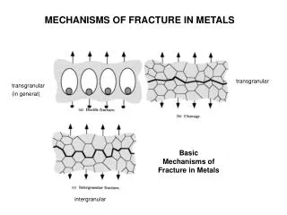 Basic Mechanisms of Fracture in Metals