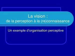 la vision de la perception la re connaissance