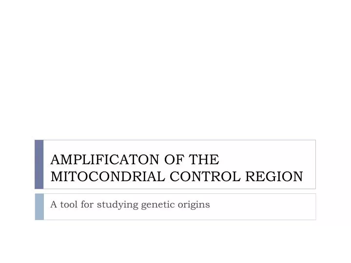 amplificaton of the mitocondrial control region