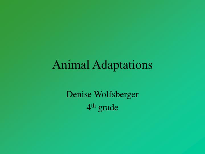 animal adaptations