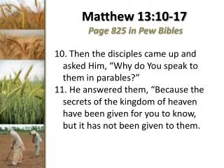 Matthew 13:10-17 Page 825 in Pew Bibles