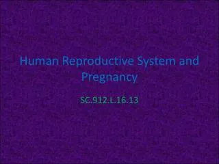 Human Reproductive System and Pregnancy