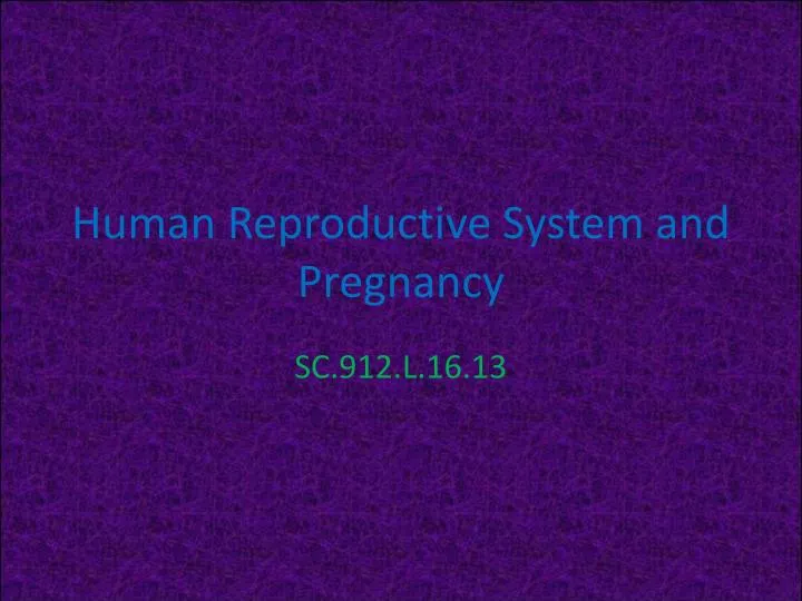 human reproductive system and pregnancy