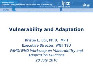 Vulnerability and Adaptation