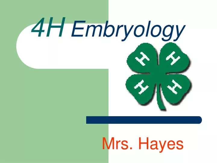 4h embryology