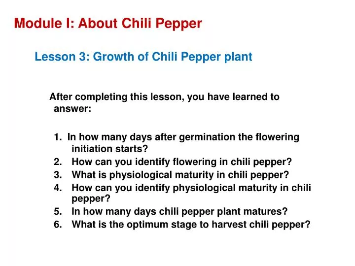 module i about chili pepper
