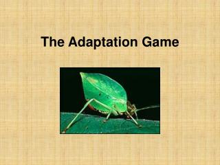 The Adaptation Game