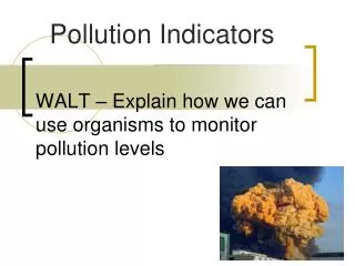 WALT – Explain how we can use organisms to monitor pollution levels