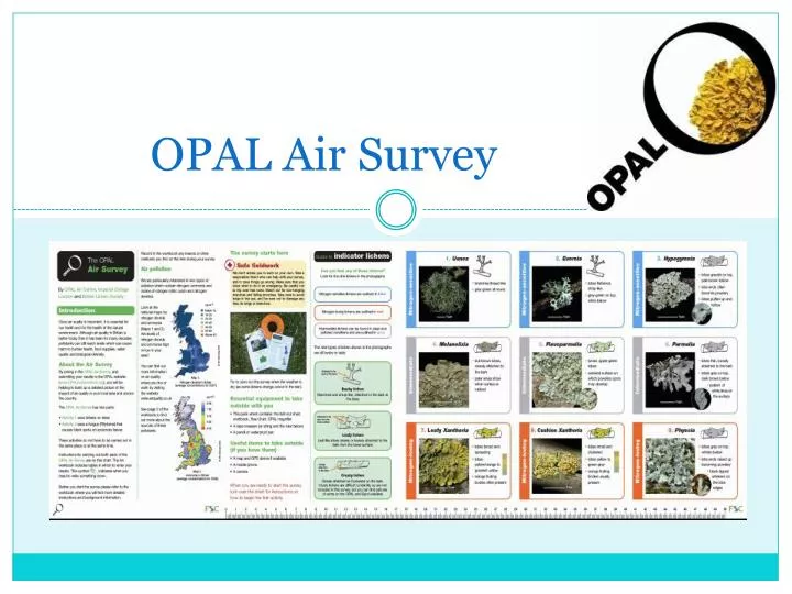 opal air survey