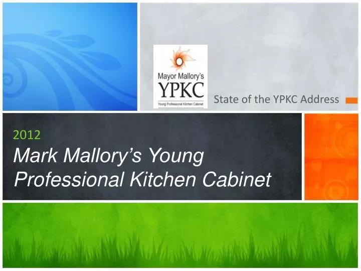 2012 mark mallory s young professional kitchen cabinet