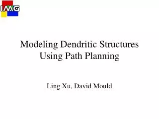 Modeling Dendritic Structures Using Path Planning