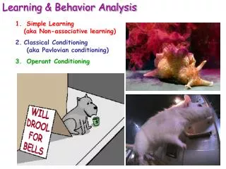 Learning &amp; Behavior Analysis