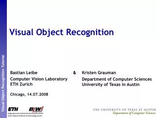 Visual Object Recognition