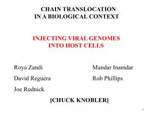 CHAIN TRANSLOCATION 			 IN A BIOLOGICAL CONTEXT INJECTING VIRAL GENOMES 			 INTO HOST CELLS Roya Zandi