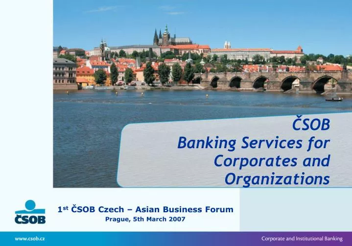 sob banking services for corporates and organizations
