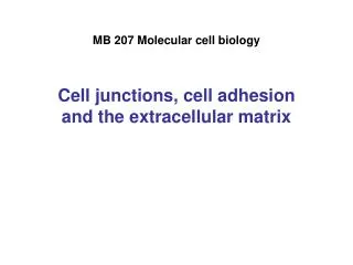 MB 207 Molecular cell biology