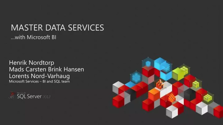 master data services