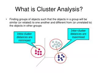 What is Cluster Analysis?