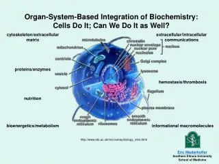 Organ-System-Based Integration of Biochemistry: Cells Do It; Can We Do It as Well?
