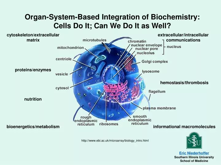 organ system based integration of biochemistry cells do it can we do it as well