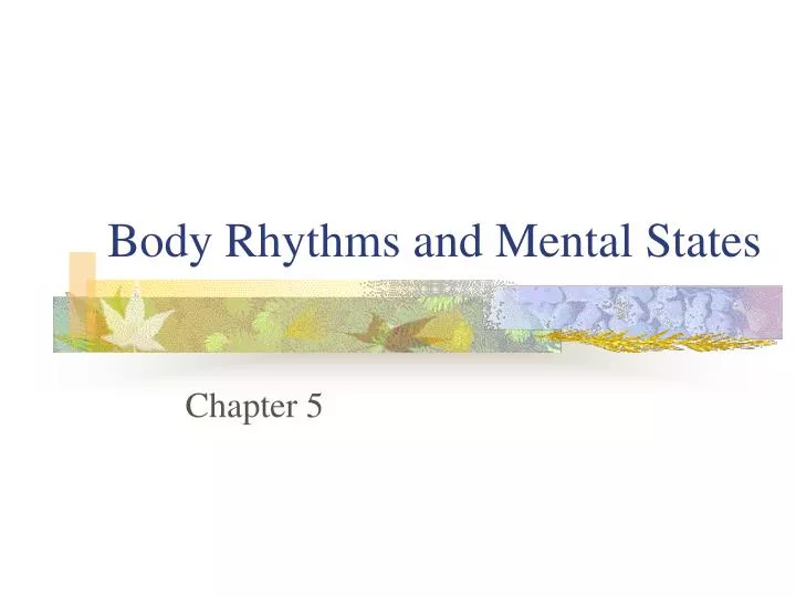 body rhythms and mental states