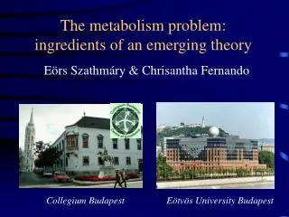The metabolism problem: ingredients of an emerging theory