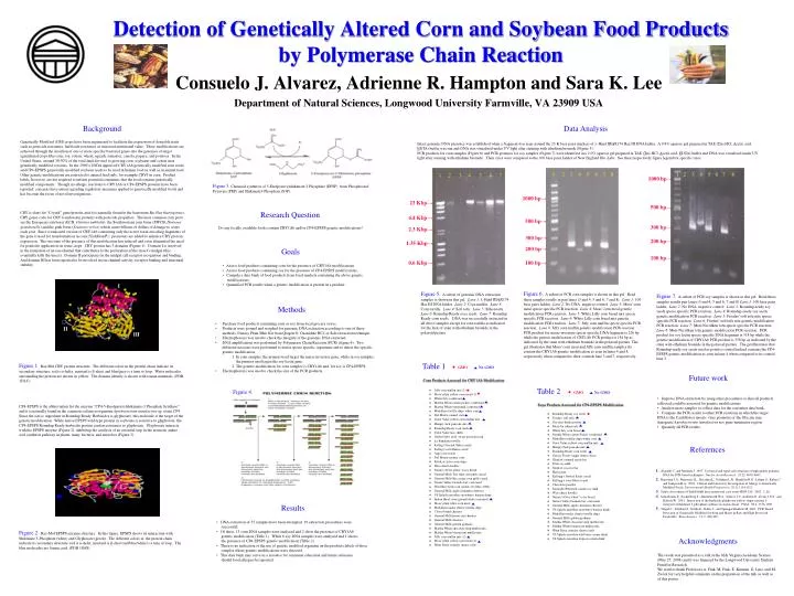 detection of genetically altered corn and soybean food products by polymerase chain reaction
