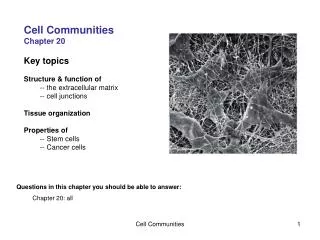 Cell Communities Chapter 20 Key topics Structure &amp; function of 	-- the extracellular matrix 	-- cell junctions Tissu