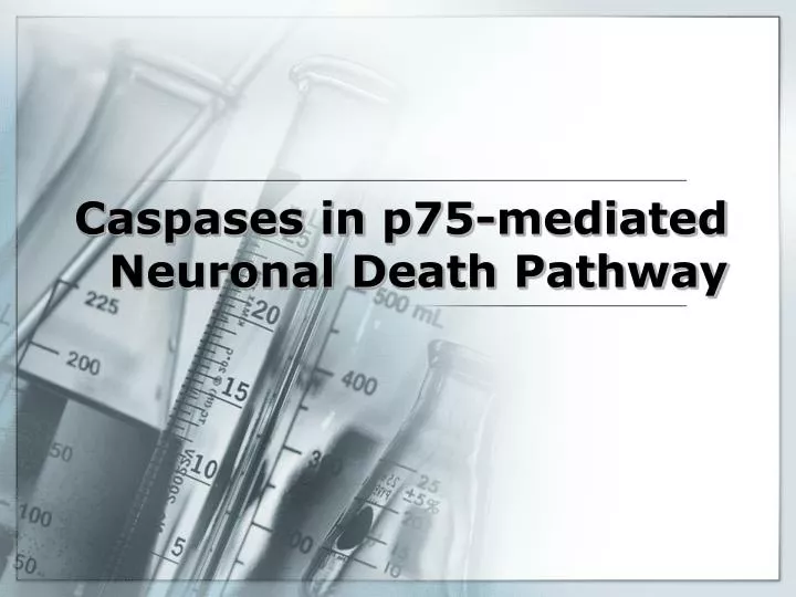 caspases in p75 mediated neuronal death pathway