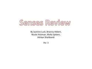Senses Review