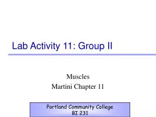 Lab Activity 11: Group II