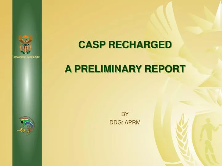 casp recharged a preliminary report