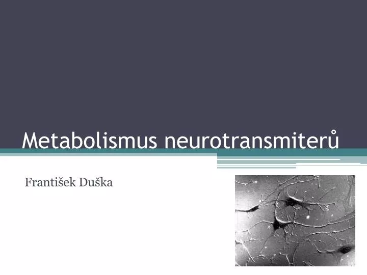 metabolismus neurotransmiter