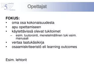 FOKUS: oma osa kokonaisuudesta apu opettamiseen käytettävissä olevat tukitoimet esim. tuutorointi, menetelmällinen tuki