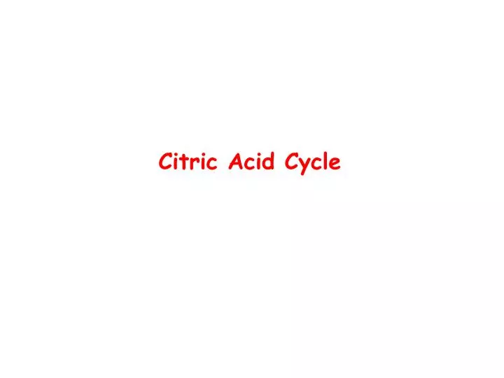 citric acid cycle