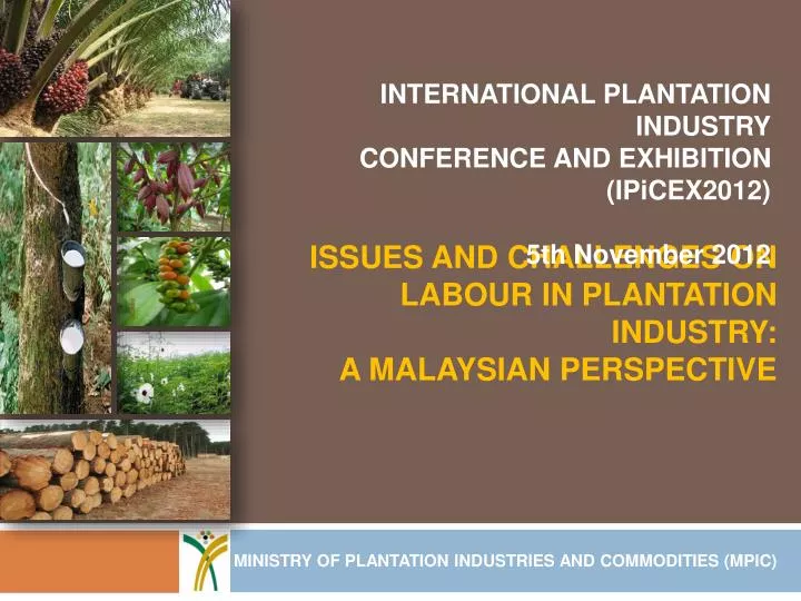 issues and challenges on labour in plantation industry a malaysian perspective