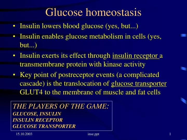 glucose homeostasis