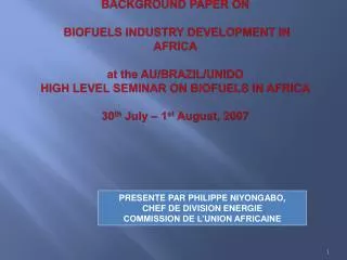 Background Paper on Biofuels Industry Development in Africa at the AU/Brazil/UNIDO HIGH LEVEL SEMINAR ON BIOFUELS IN A