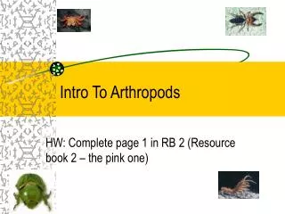 intro to arthropods