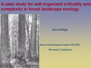A case study for self-organized criticality and complexity in forest landscape ecology