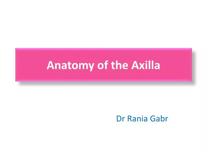 anatomy of the axilla