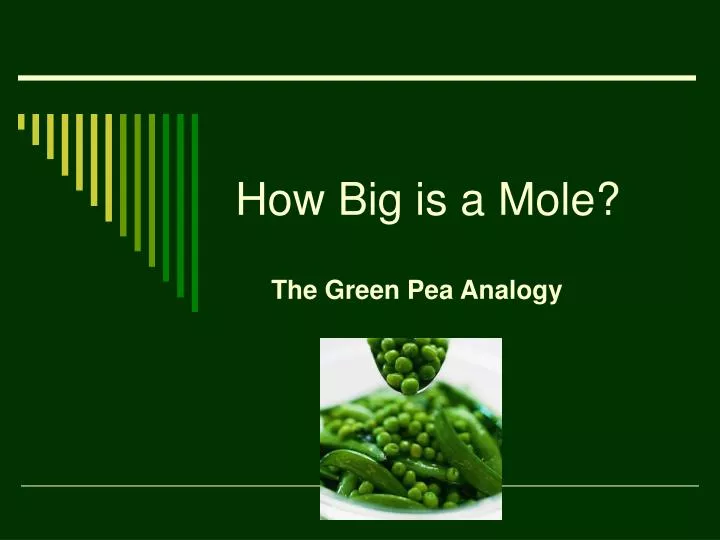how big is a mole