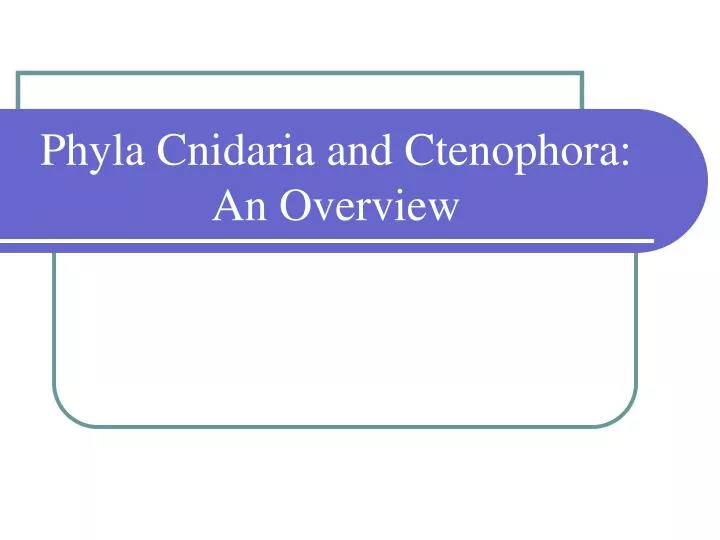 phyla cnidaria and ctenophora an overview