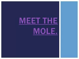 Meet the Mole.