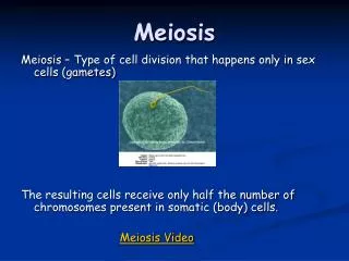 Meiosis