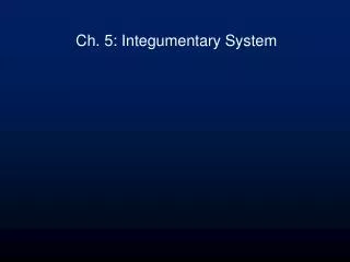 Ch. 5: Integumentary System