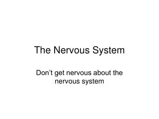 The Nervous System